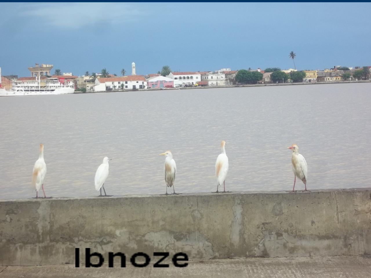100_5740