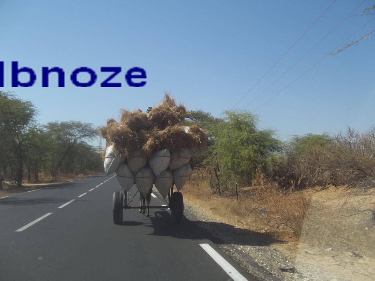 Foin transporté