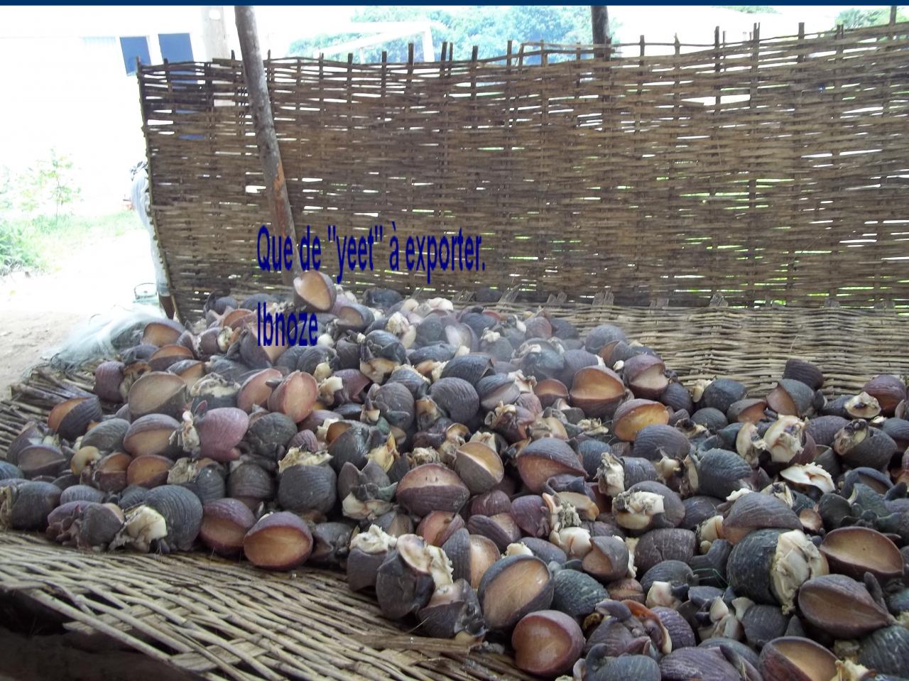 Photo 079