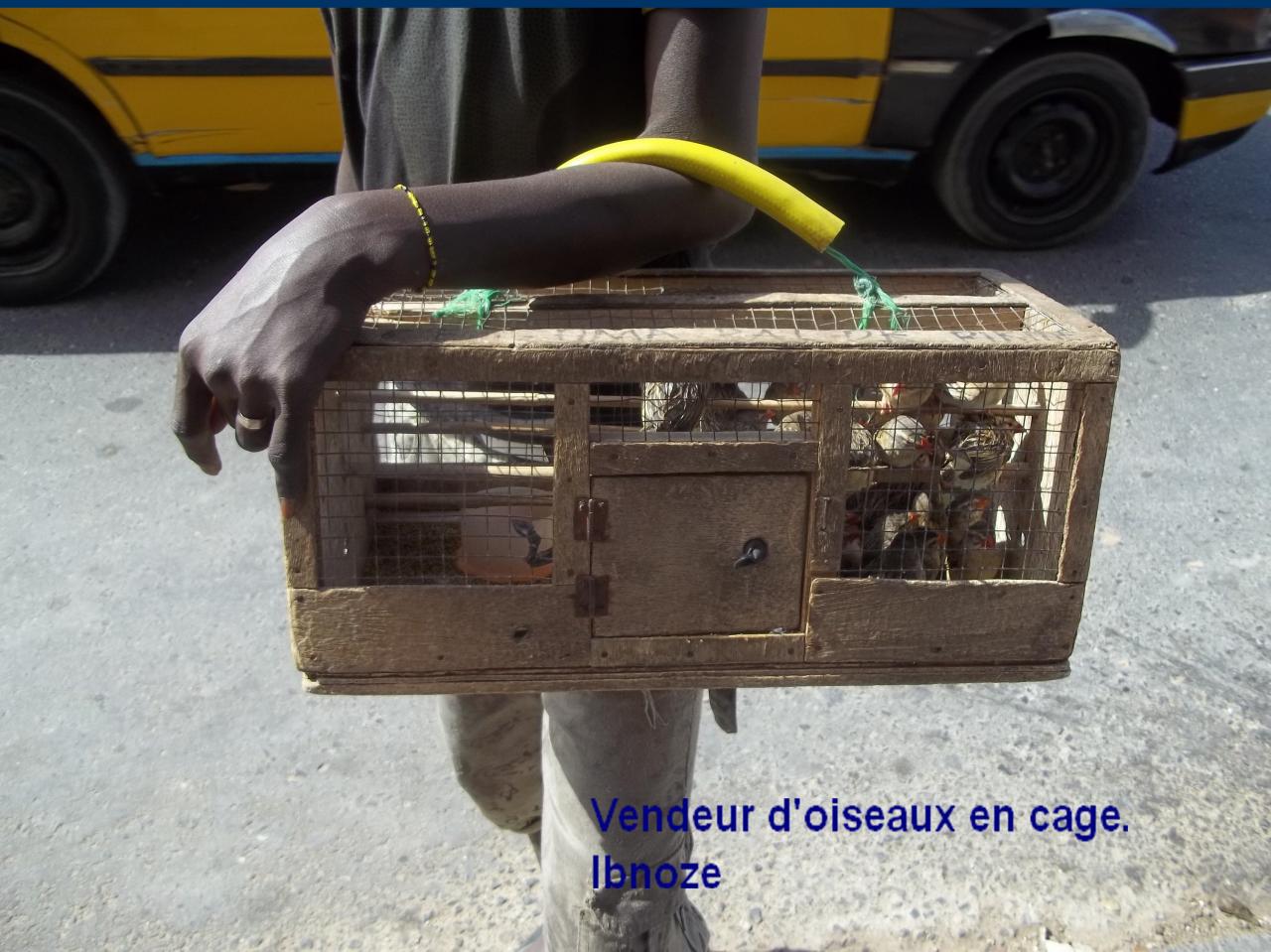 Sur Ibnoze le 23 AVRIL 2013 plus 003