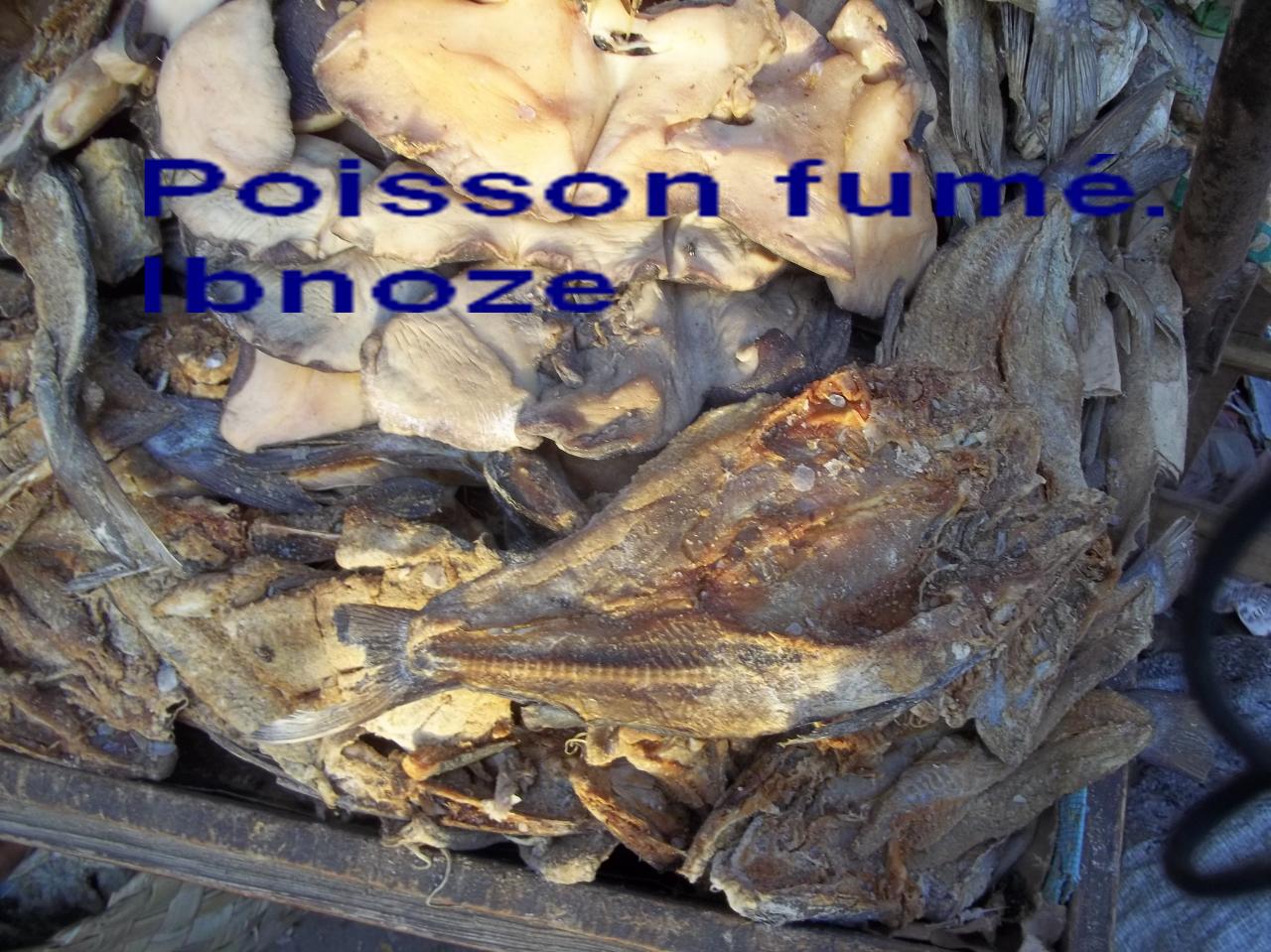 Sur Ibnoze le 3 AVRIL 2013 plus 021