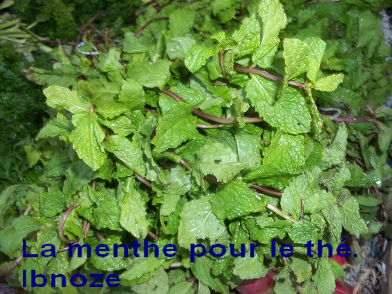 Sur Ibnoze le 3 AVRIL 2013 plus 024