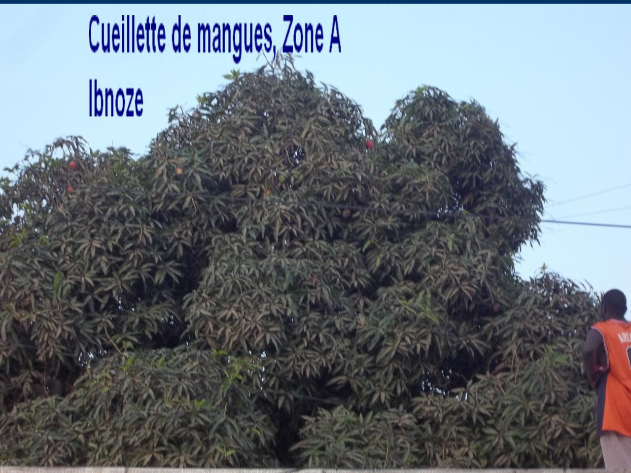 100-5453.jpg