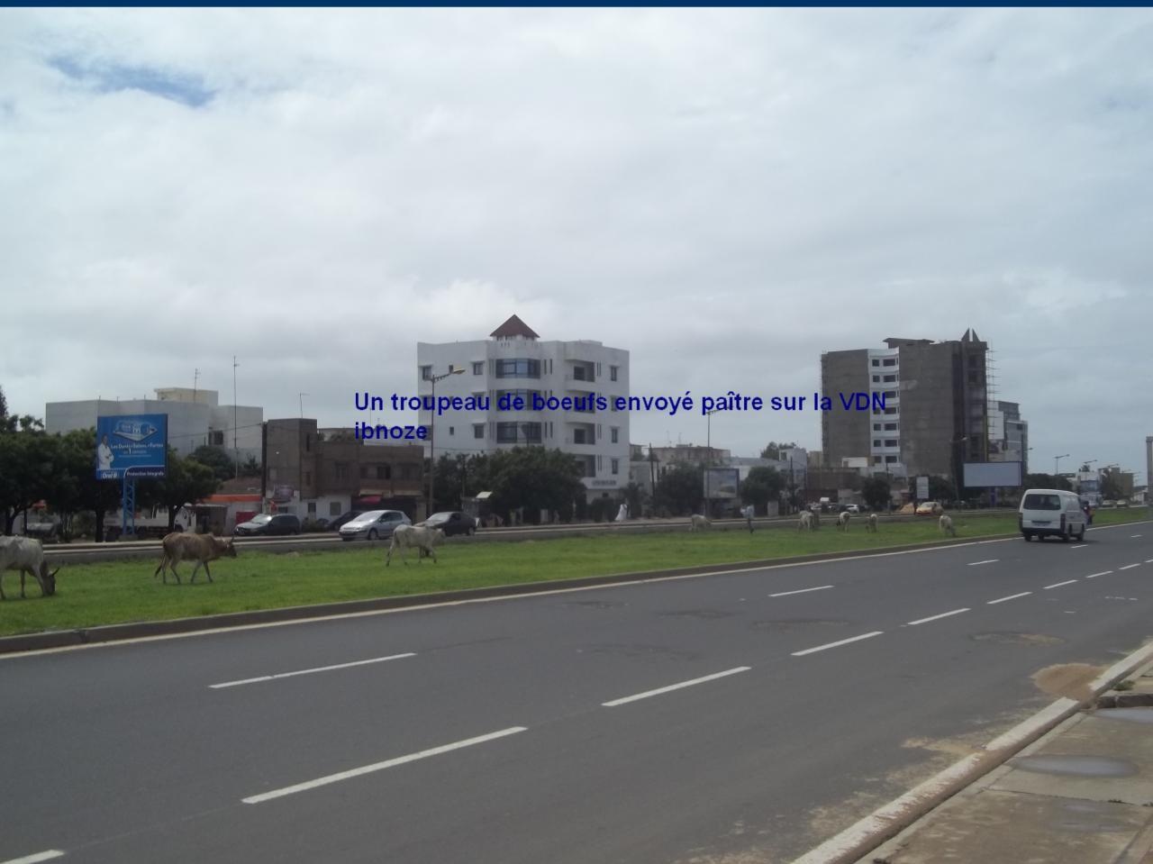 100-5897.jpg
