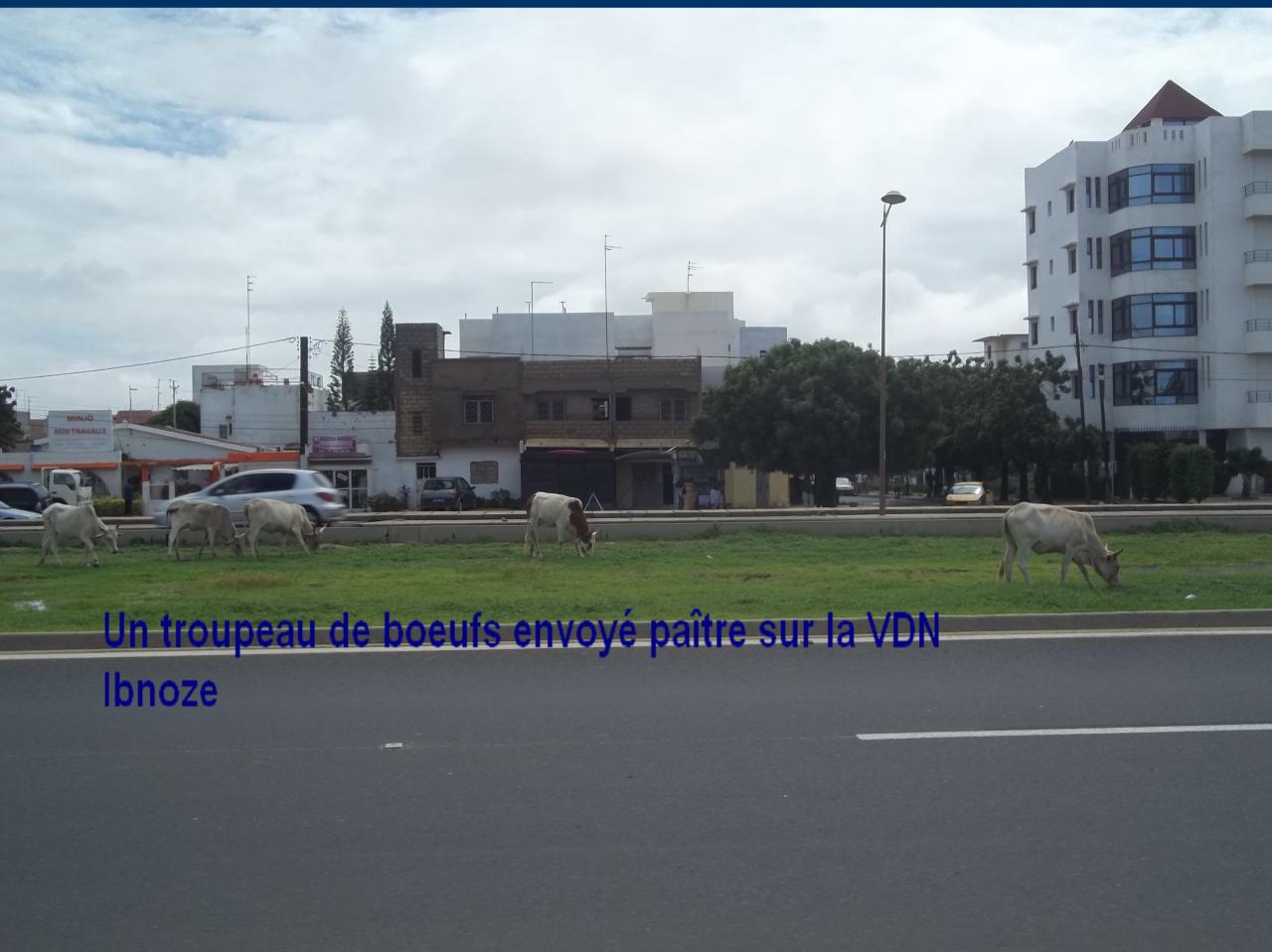 100-5899.jpg