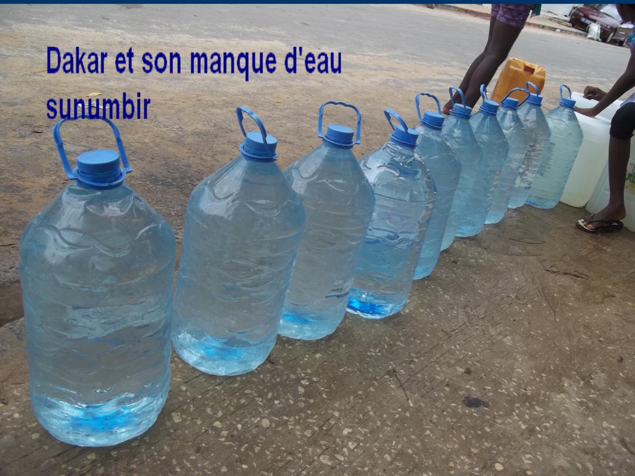 100-6524.jpg