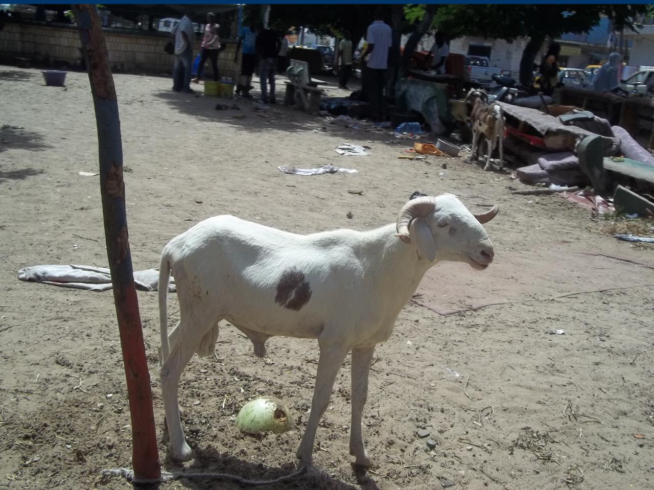 100-6798.jpg