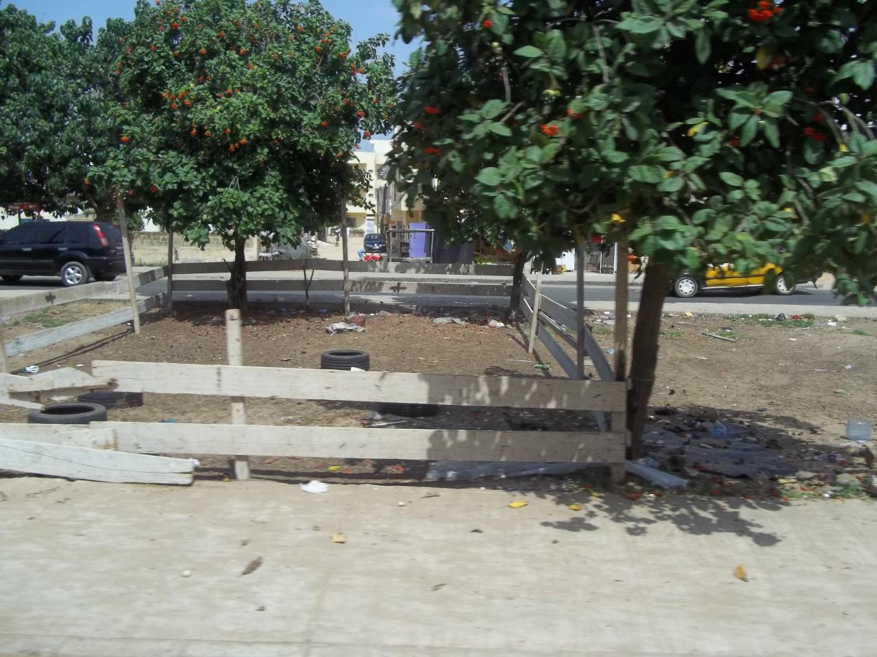 100-6876.jpg