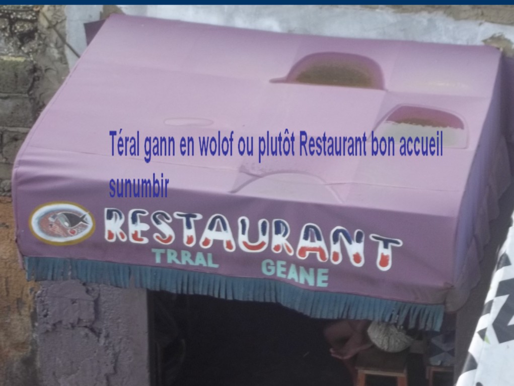 100e6360.jpg