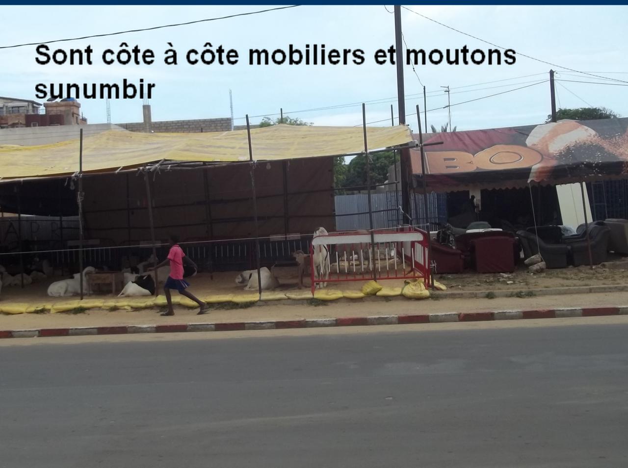 100e6365.jpg