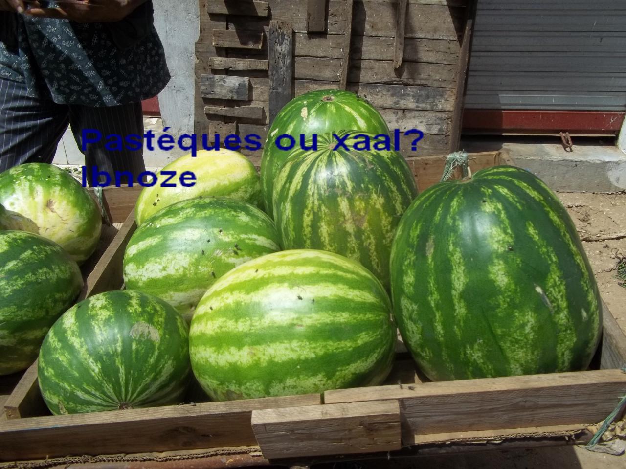102-3902.jpg
