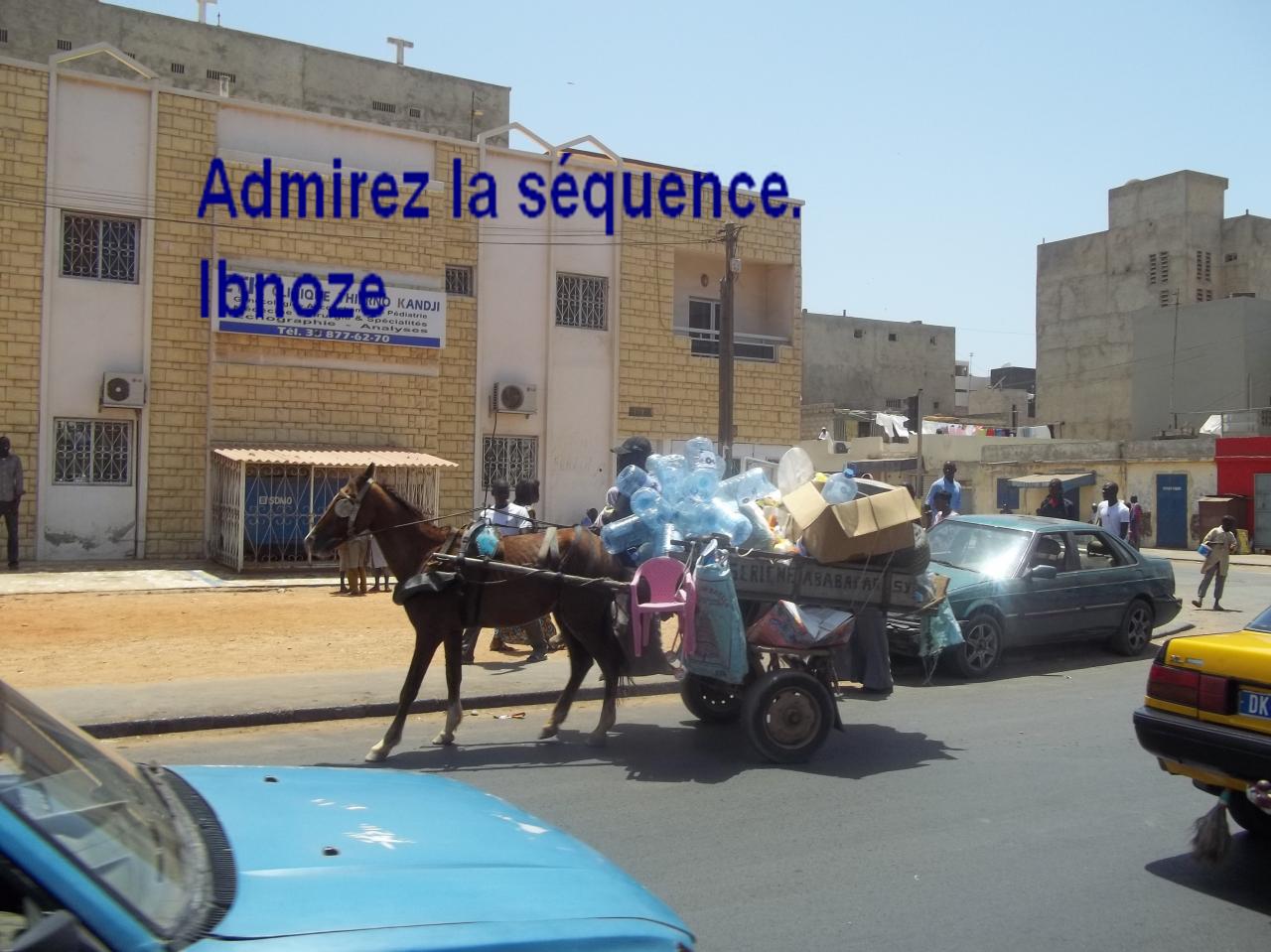 102-3959.jpg