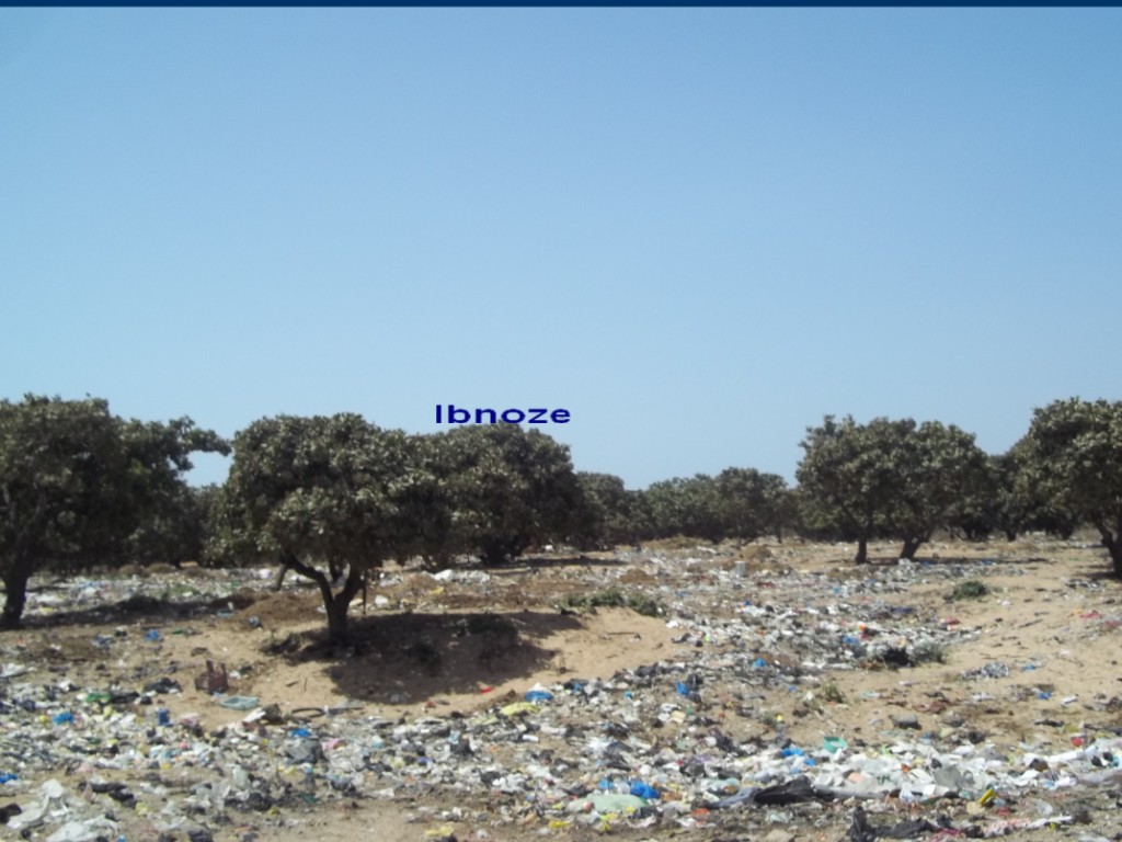 102-4633.jpg