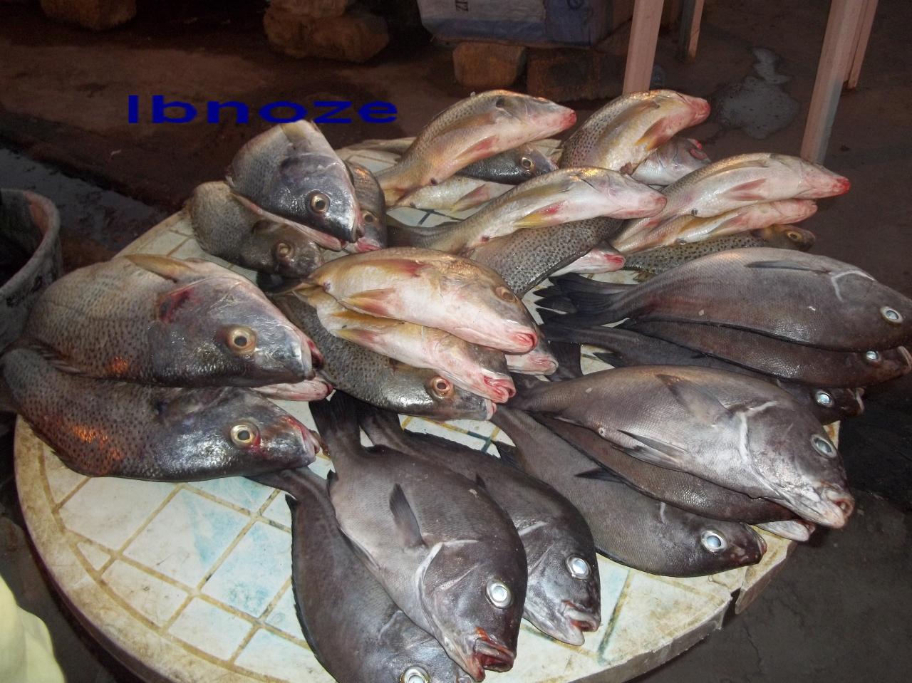 des-poissons-a-soumbedioune.jpg