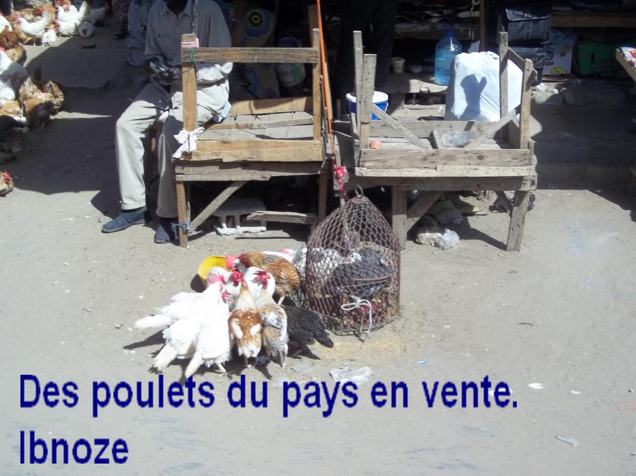 sur-ibnoze-le-2-avril-2013-003.jpg