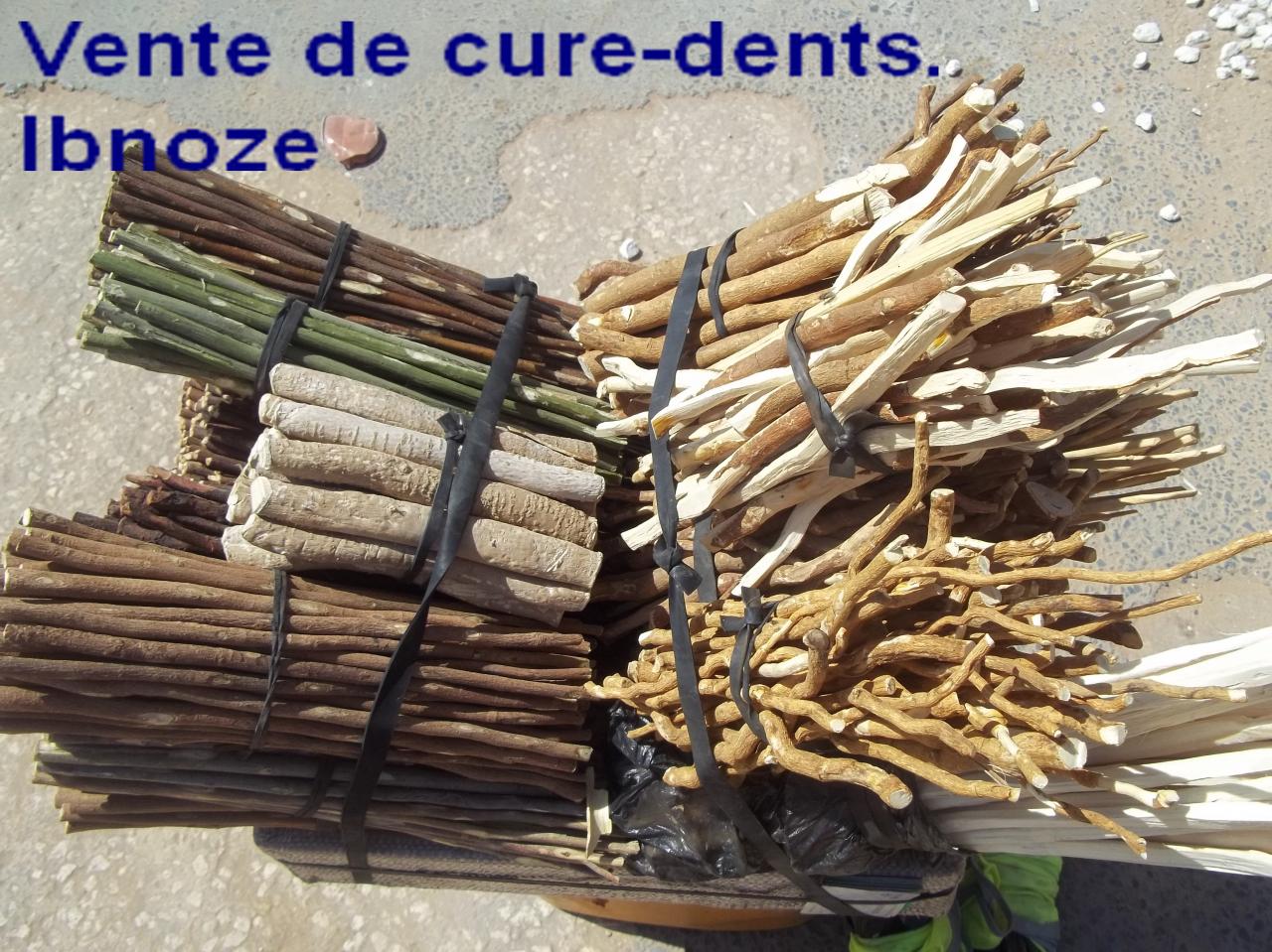 sur-ibnoze-le-2-avril-2013-006.jpg