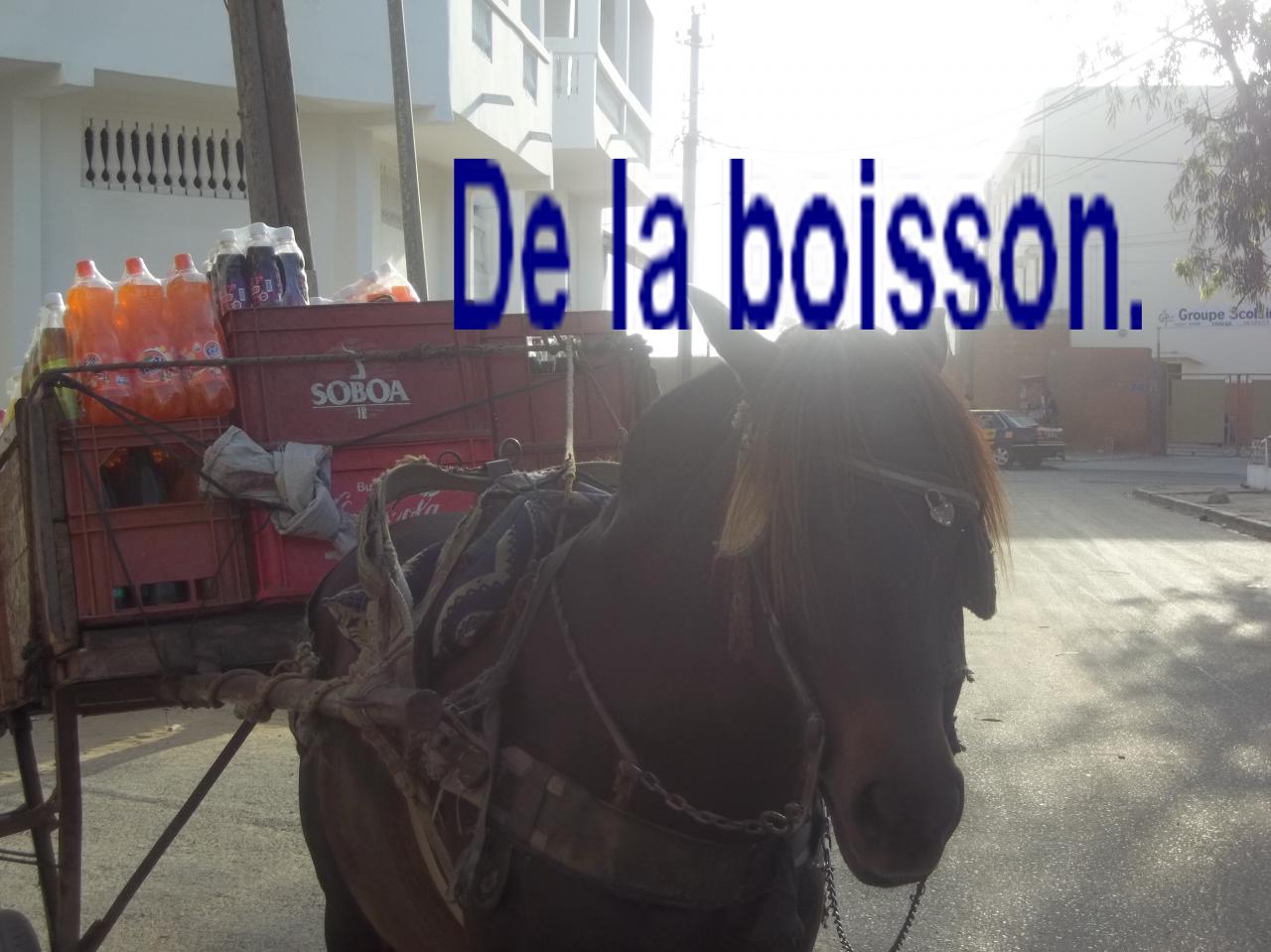 sur-ibnoze-le-23mars-2013-002.jpg