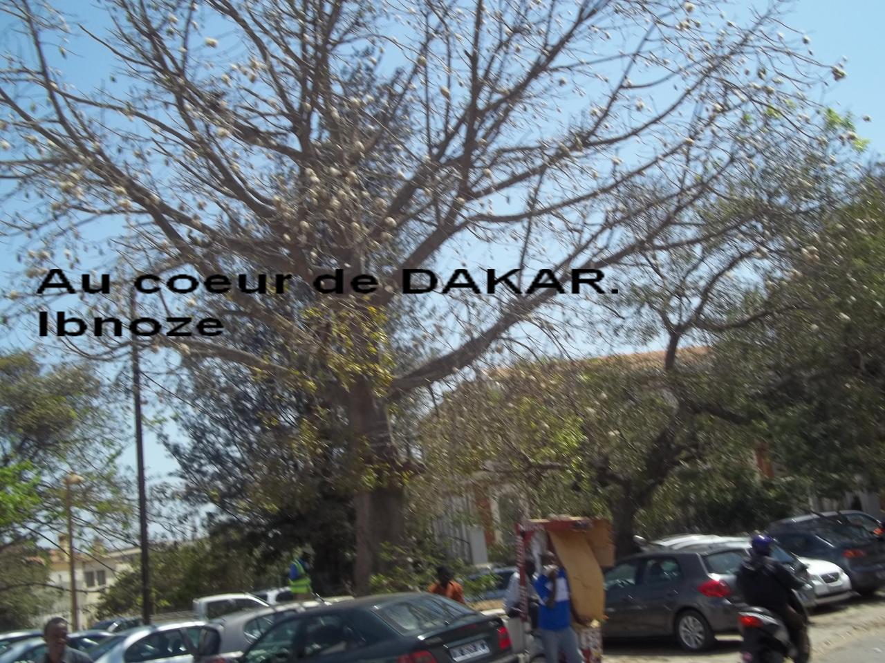 sur-ibnoze-le-3-avril-2013-028.jpg