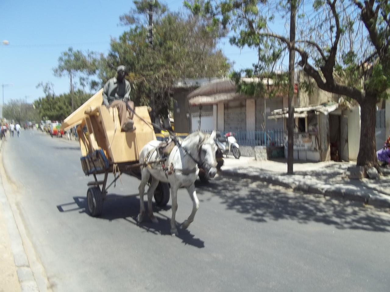sur-ibnoze-le-3-avril-2013-058.jpg