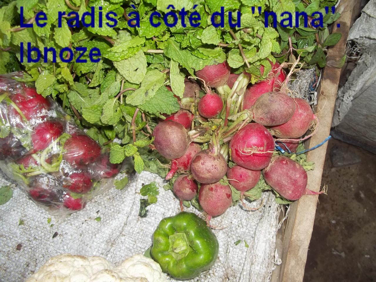 sur-ibnoze-le-3-avril-2013-plus-023.jpg